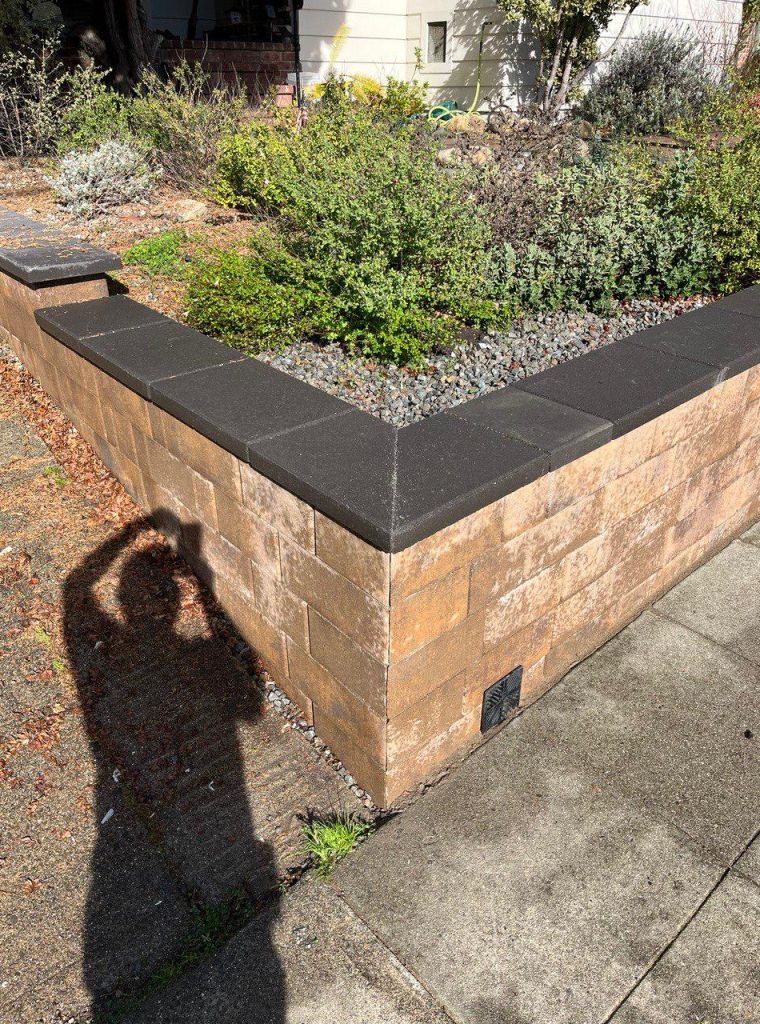 WhatsApp Image 2025-12-16 at 04.16.31